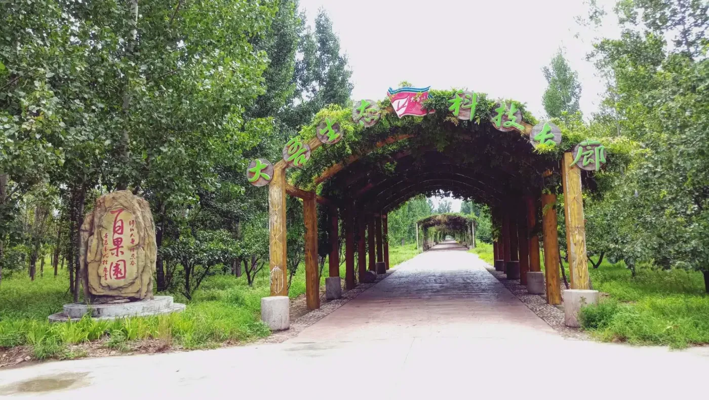 东胜·大吾川全时全龄度假营 首创"6g轻度假"超级ip