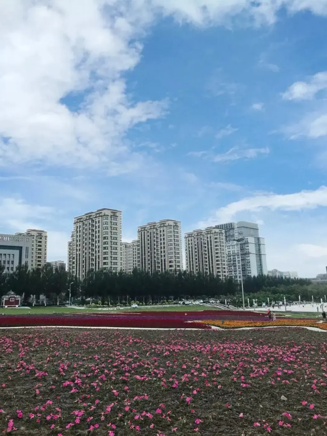 买蓝山国际 进名校学习