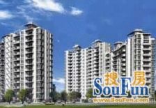 品质小区,环境优美,居家装修,诚意出售