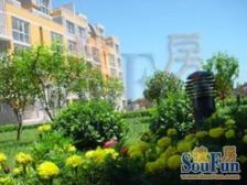 柏阳景园A区2室1厅南北