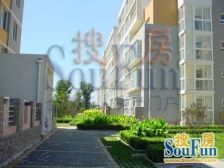 柏阳景园C区复式,有地库,有储藏室