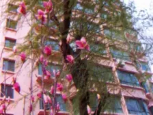 荣祥花园 3室2厅 南 北