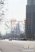 世纪东方城南区1室1厅东北