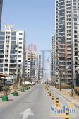 世纪东方城南区1室1厅东北