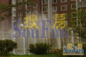 此房满五,视野开阔,不挡光,楼层好