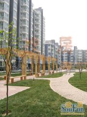 此房是满五年唯一商品房,南北通透,一梯两户板楼