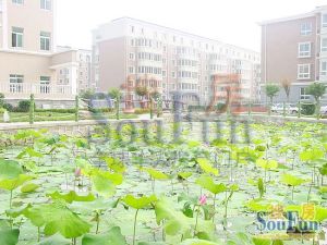 房子南向无遮挡,采光充足,户型方正全明户型,