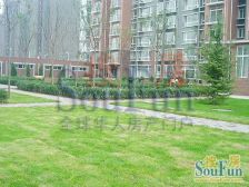 DBC加州小镇 3室2厅 南 北