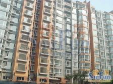 DBC加州小镇 2室2厅 南 北