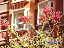 临河里·DBC加州小镇B区·3室·2厅