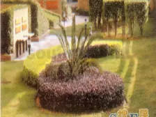 老城区 瀚恩阳光北区五房144万