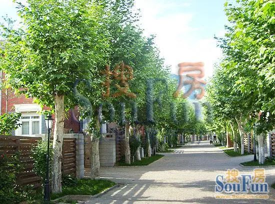 小区相关图