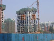 草桥欣园四区风景CLUB小区客厅挑高4.05米