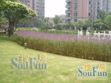 出门地铁,三房南厅南北通,接受置换周期,看房方便