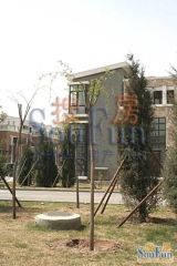 靠山居艺墅南区5室2厅南北东
