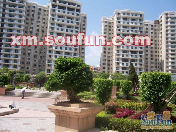 福满山庄小区租房,一室零厅, 整租·福满山庄 1室0厅 南,厦门思明瑞景