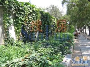 和风四季南北通透精装修两居室