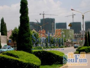 穿金路精装3房户型出门公交位置号