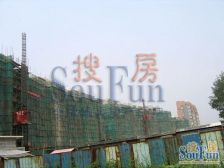 DBC加州小镇 2室1厅 南 北