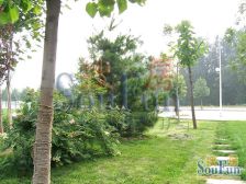 DBC加州小镇 1室1厅 南 北