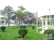 DBC加州小镇 1室1厅 南