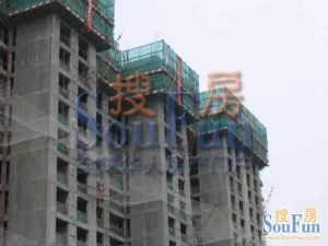 沸城2室1厅南