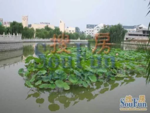  ���⡤���߼ҡ�����̫���ǡ�2�� 