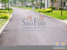 江南春堤一室一厅拎包入住楼层好采光好