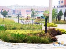 此房挑高,满五年唯一,房子采光好,交通方便.