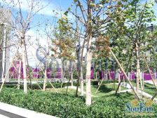 丽泽商务区08年商品房社区、人车分流,近地铁配套好