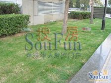 朝阳燕莎US联邦公寓西南大三居看房方便