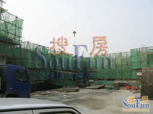 天娇园3室1厅南北