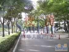 港湾国际1室1厅北