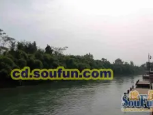 春天大道 3室1厅 东南