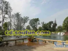 春天大道 3室2厅 南