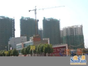 世博园旁晨光大道小区电梯小高层带落地窗明厨明卫