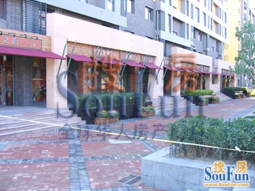  ����ļ�����2��1��1���ϱ�����5100.00Ԫ/�³��� 