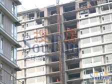 主语空中平墅!小区仅两套此户型!南向20米面宽