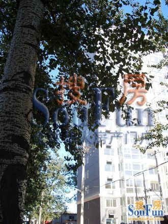 博雅世家实景图