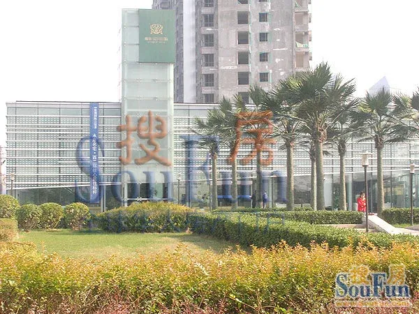 顺驰蓝调国际