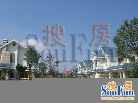 九溪玫瑰园实景图