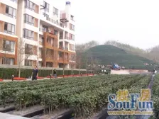 东站旁清水洋房 朝中庭 横厅设计 户型方正 全明采光