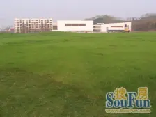 茶园新区 东站旁 恒大精装三房双卫 环境优美 住家舒适