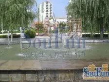 绿色家园 1室1厅 西