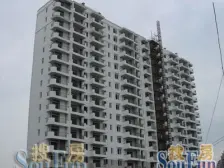 宝山环绿国际别墅 5室3厅 4卫2车位191平890万