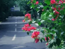 西郊大独栋 400平米大花园,精装修,科学城未来可期