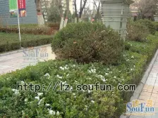 曦华源 1室0厅 南