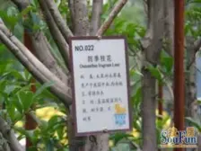 房屋产权到位可按揭,楼层比较好,随时看房。