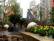 亚星盛世家园小两房,朝东户型,采光好,业主诚心出售