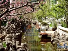 一楼 大三房有地暖 带花园 满五唯一无抵押 有水系